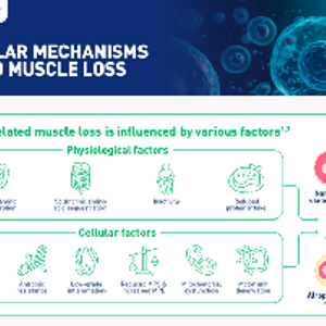 Cellular Mechanisms Behind Muscle Loss