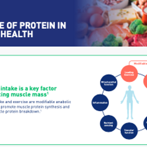 The Role of Protein in Muscle Health