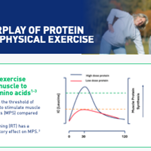 The Interplay of Protein Intake and Physical Exercise