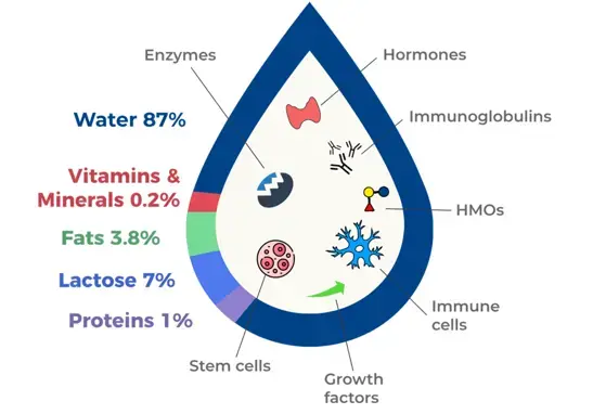 Nutritive components of human breast milk Nutritive components of human breast milk