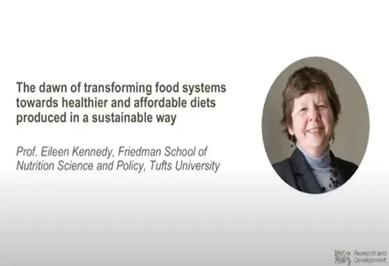 The dawn of transforming food systems towards healthier and affordable diets 2