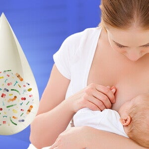 The Human Milk Microbiome: A living ecosystem that benefits mothers and infants