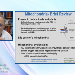 Aspen 2021 landscape