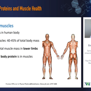 bone health landscape.png