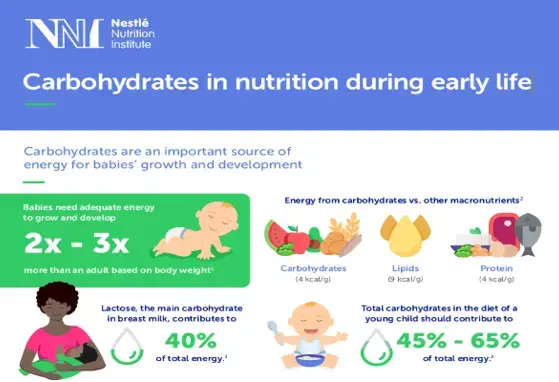 carbohydrate landscape.png