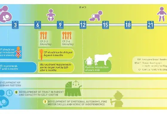 Complementary Feeding: The appropriate introduction for short-term as well as long-term health and growth (infographics)