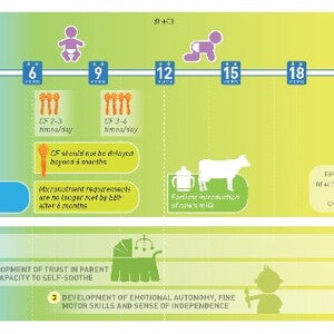 Complementary Feeding: The appropriate introduction for short-term as well as long-term health and growth (infographics)