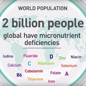 Complementary Feeding (videos)
