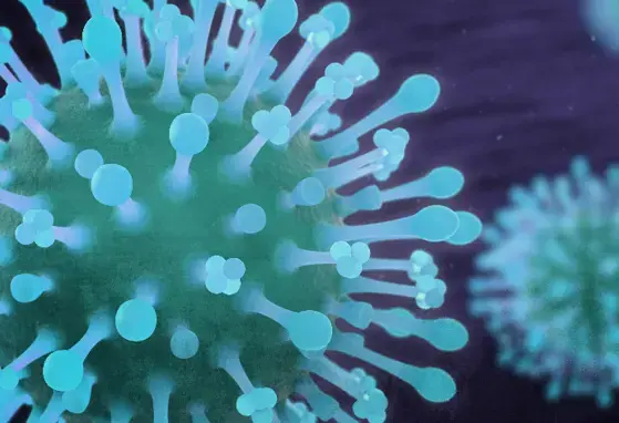 Coronavirus Information (news)