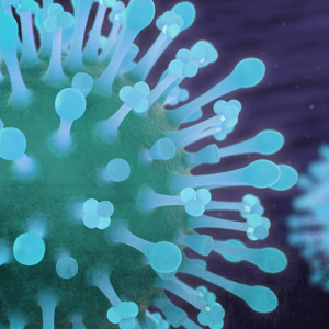 NIH clinical trial of investigational vaccine for COVID-19 begins (news)