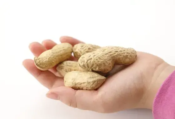 Decrease in peanut allergy among infants after guideline changes (news)