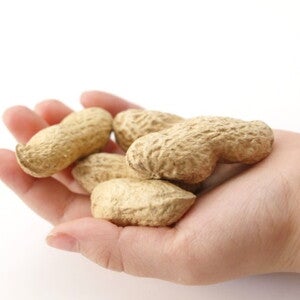 Decrease in peanut allergy among infants after guideline changes (news)