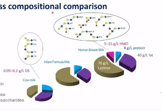 What are Human Milk Oligosaccharides? (videos) What are Human Milk Oligosaccharides? (videos)