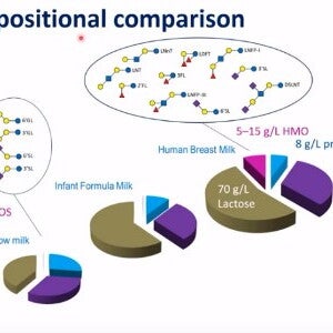 What are Human Milk Oligosaccharides? (videos)