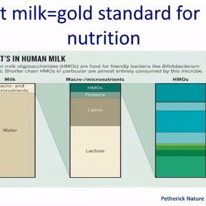 Human Milk Oligosaccharides in the Dietary Management of Cow’s Milk Protein Allergy (videos)