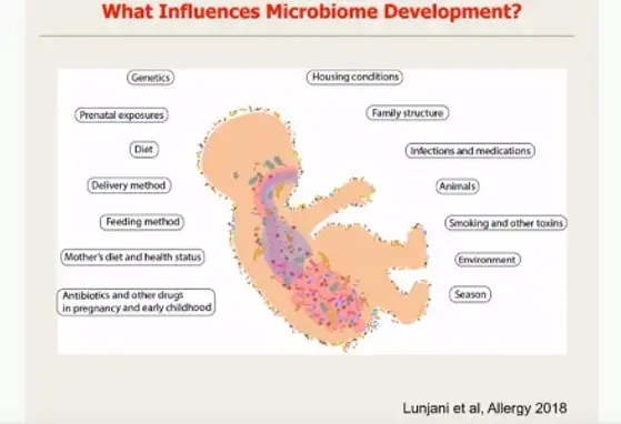 The Development of the Gut Microbiome and its Role (videos)