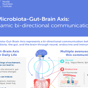 gut brain axis infographic landscape.png
