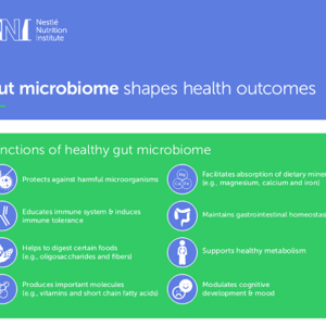 gut microbiome shapes healthy outcomes landscape
