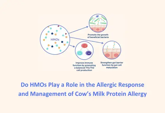 Do HMOs Play a Role in the Allergic Response and Management of Cow’s Milk Protein Allergy?