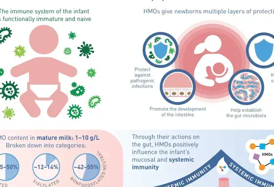 The benefits of Human Milk Oligosaccharides on immunity (infographics)