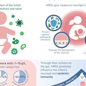 The benefits of Human Milk Oligosaccharides on immunity (infographics)
