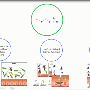 Video Teaser: HMOs story so far (videos)