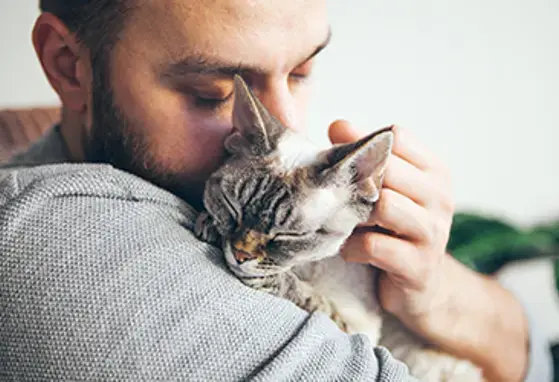 Research first: Keep the cat, change the care pathway for cat allergies (news) Research first: Keep the cat, change the care pathway for cat allergies (news)