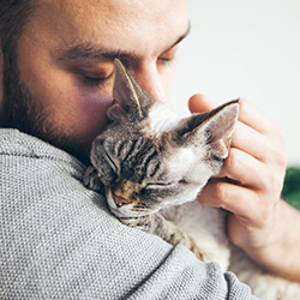 Research first: Keep the cat, change the care pathway for cat allergies (news)