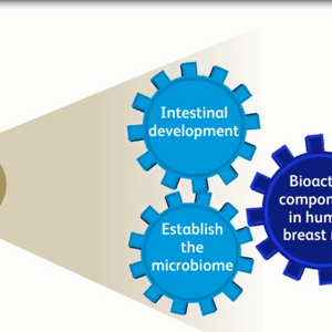 Video Teaser: Human Milk Oligosaccharides and Neonatal Immunity (videos)