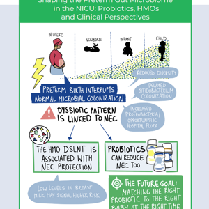 Shaping the Preterm Gut Microbiome in the NICU