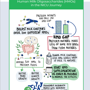 HMO supplementation in Preterm infants: Emerging Clinical evidence and Microbiota insights