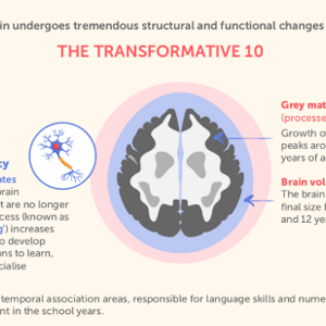 infographic4 teaser image.png