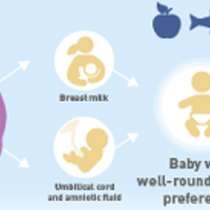 Influencing flavor perception and preference in infants for long-term health (infographics)