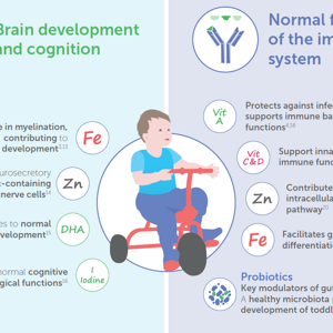 How is Nutrition Associated with the Toddler Development? (infographics)