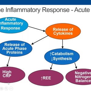 The Adult Malnutrition Consensus Criteria: How to Apply to Your Practice (videos)