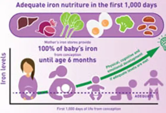 Meeting the iron needs of young children (infographics) Meeting the iron needs of young children (infographics)