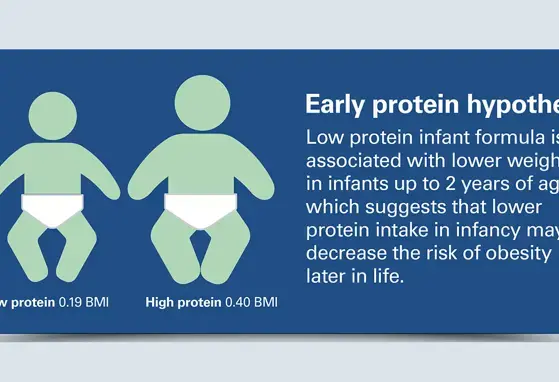 The Changing Nutritional Needs of Infants and the Composition of Breast milk (infographics) The Changing Nutritional Needs of Infants and the Composition of Breast milk (infographics)