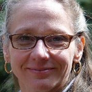 Fortification of Complementary Foods