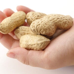 Study finds delayed food introduction increases risk of sensitization (news)