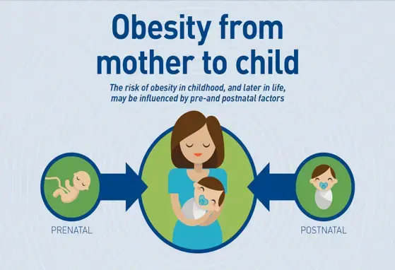 Obesity From Mother to Child (infographics) Obesity From Mother to Child (infographics)