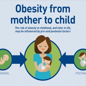 Obesity From Mother to Child (infographics)