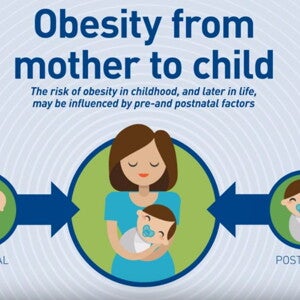 Faster weight gain in infancy predicts higher blood pressure in early childhood (news)