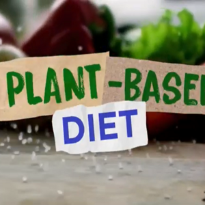 plant based diet landscape.png