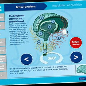 Practical Tools and Training