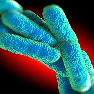 How and why microbes promote and protect against stress (news)