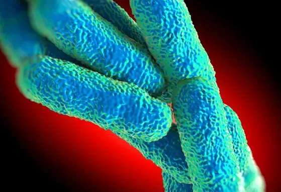 The importance of probiotic names - and why some of them have changed (news) The importance of probiotic names - and why some of them have changed (news)
