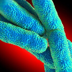 The importance of probiotic names - and why some of them have changed  (news)