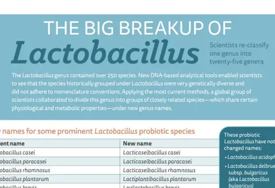The Big Breakup of Lactobacillus (infographics) The Big Breakup of Lactobacillus (infographics)