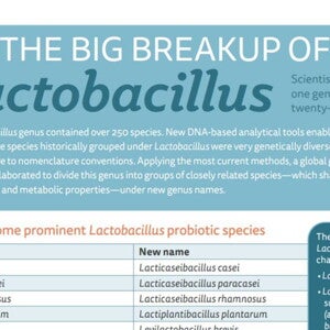 The Big Breakup of Lactobacillus (infographics)