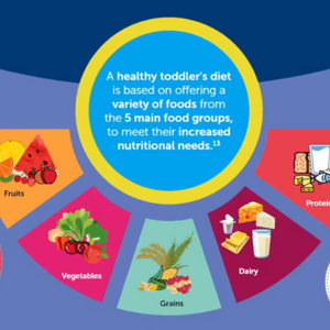 What Toddlers Should and Should Not Eat (infographics)
